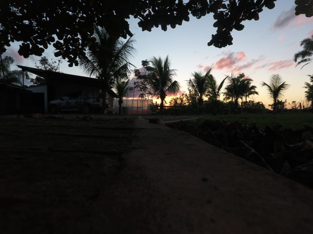 ATARDECER EN ECONATURA